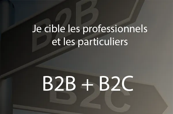 B2B + B2C